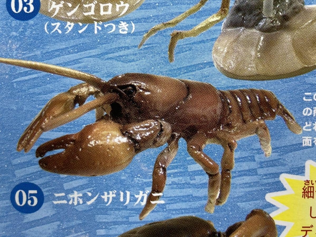 Amazon.co.jp: 即決 エフトイズ 水辺のいきもの 昆虫&甲殻類 05.二ホン